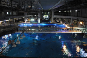 2011.03.01.03okinawa churaumi aquarium.jpg
